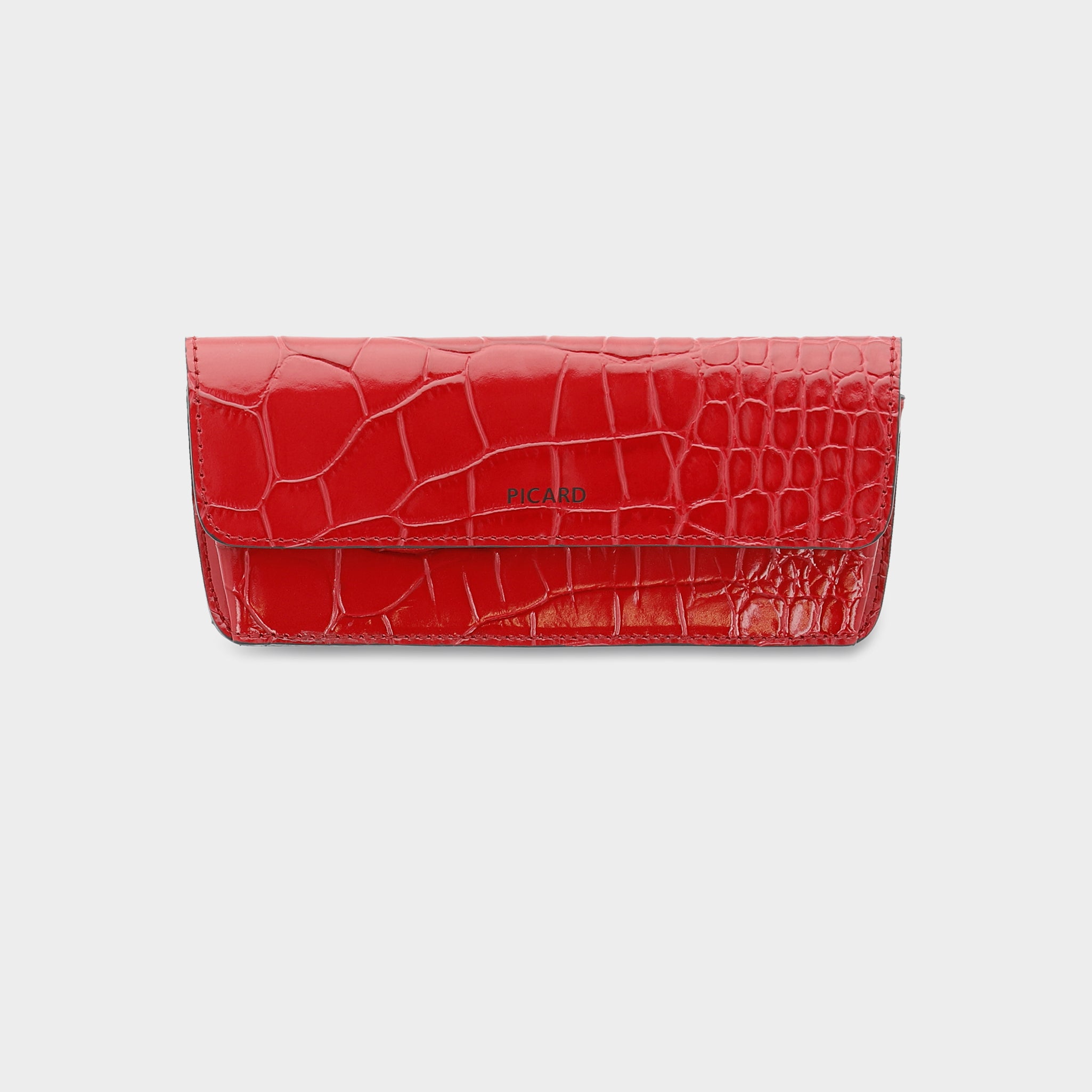 Spectacle Case R110