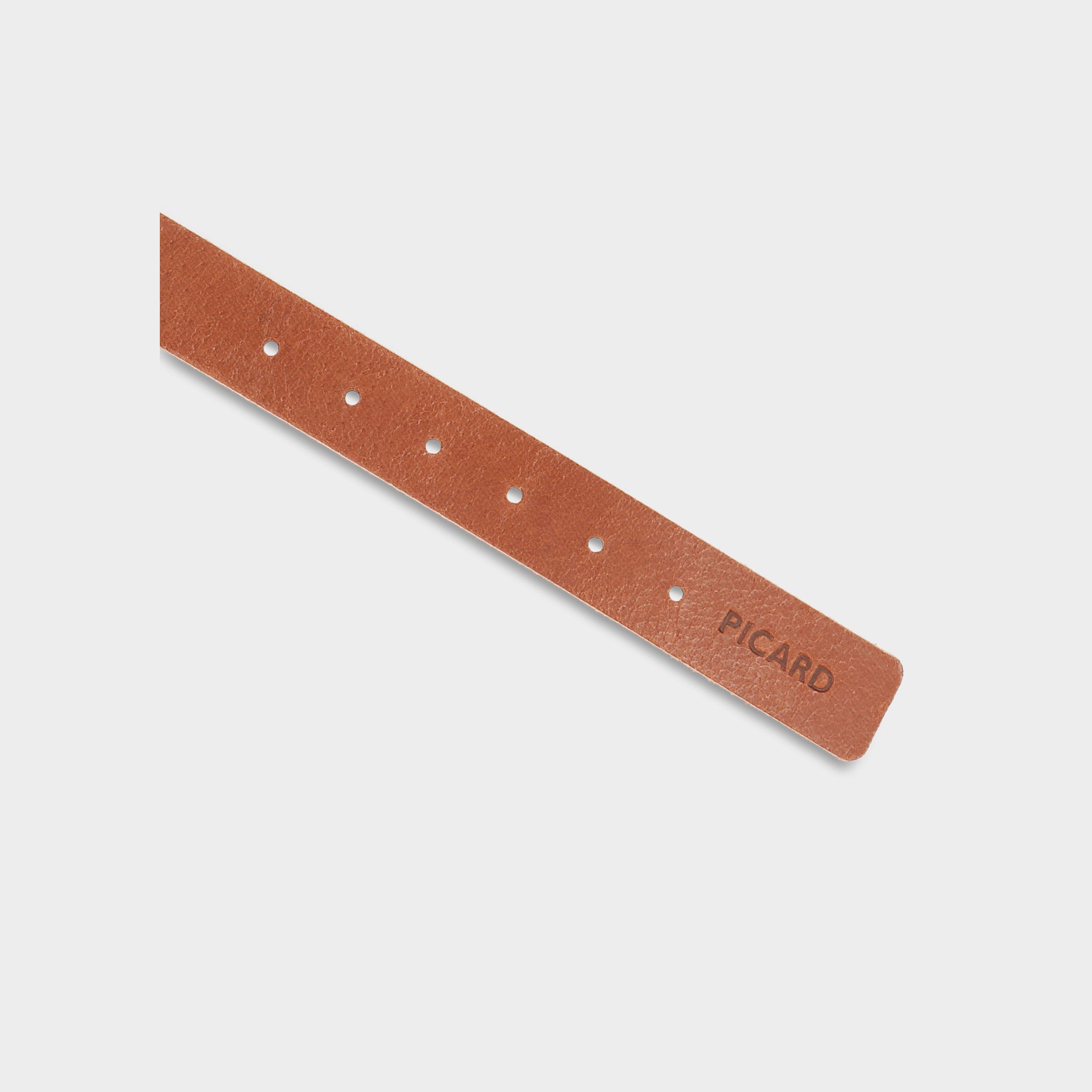 Dog Collar Strolch Size S R128