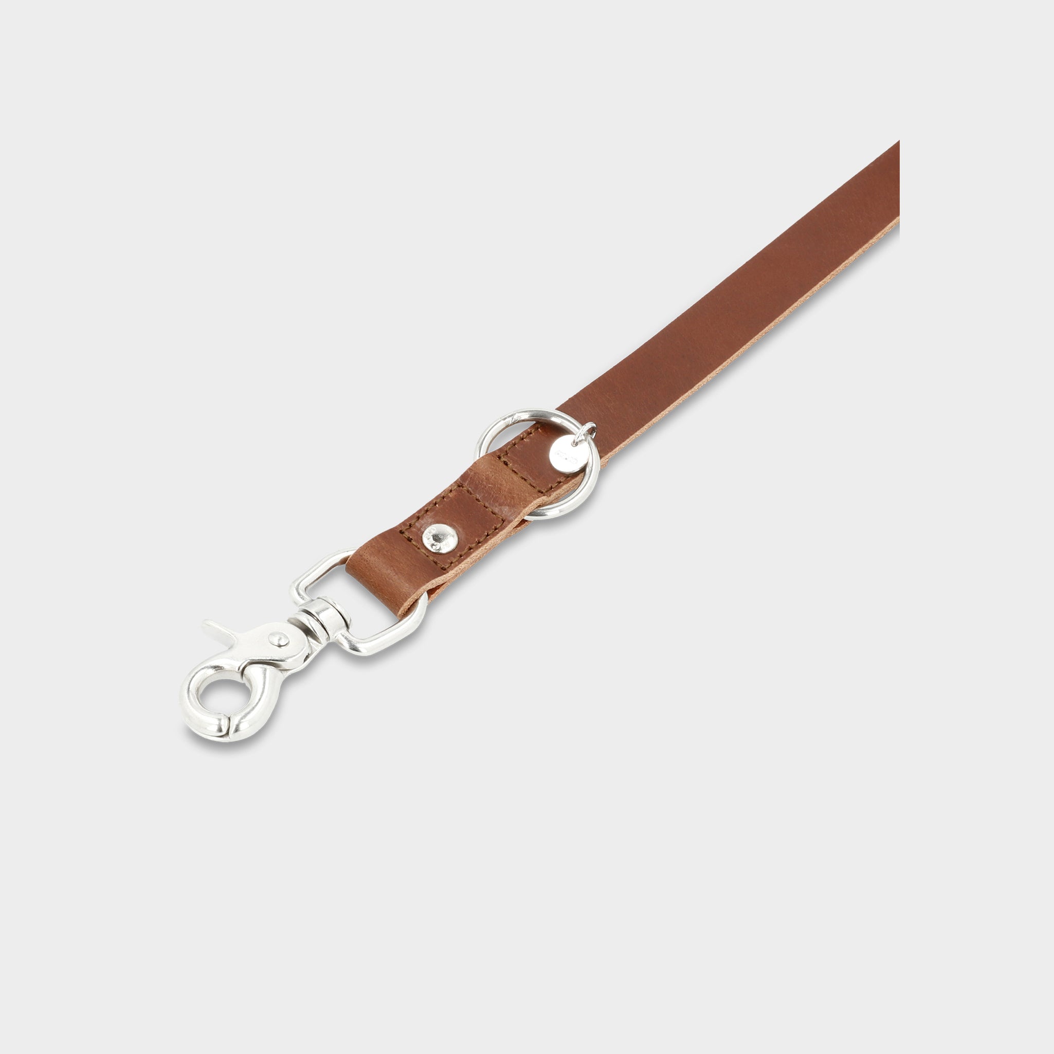 Dog Leash Strolch R127