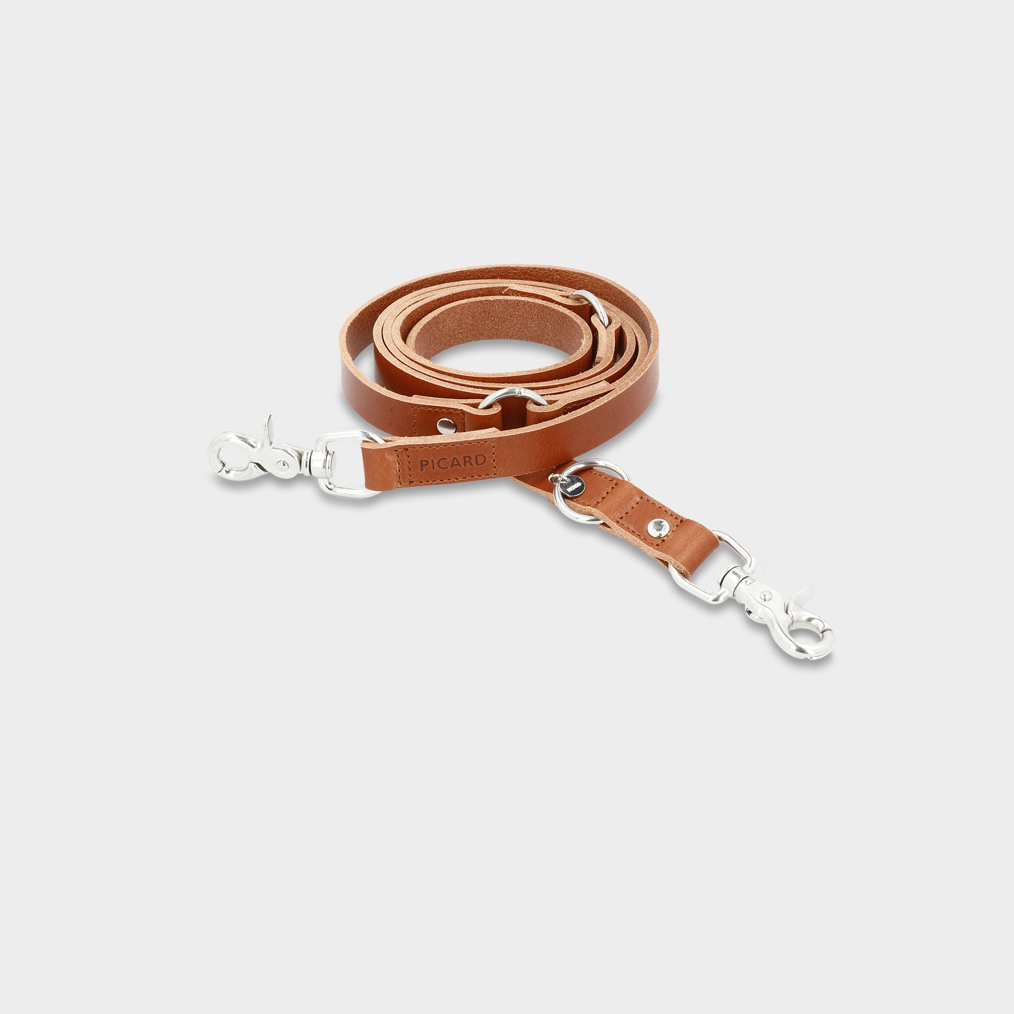 Dog Leash Strolch R127