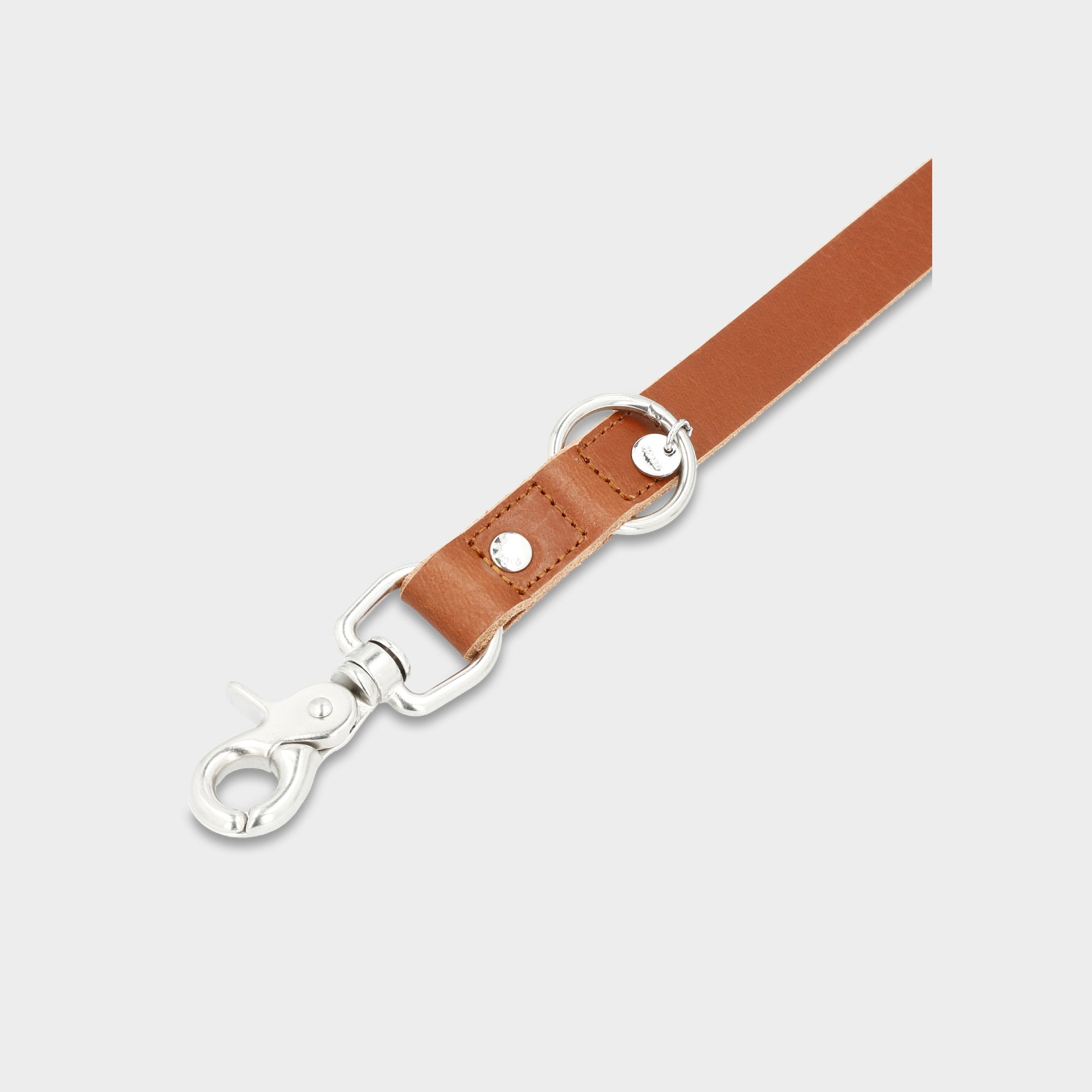 Dog Leash Strolch R127