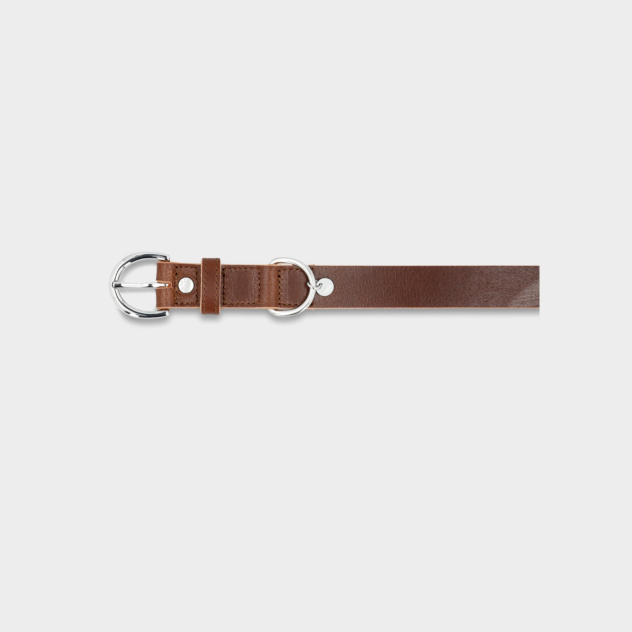 Hundehalsband Dog Collar Strolch Größe S R128