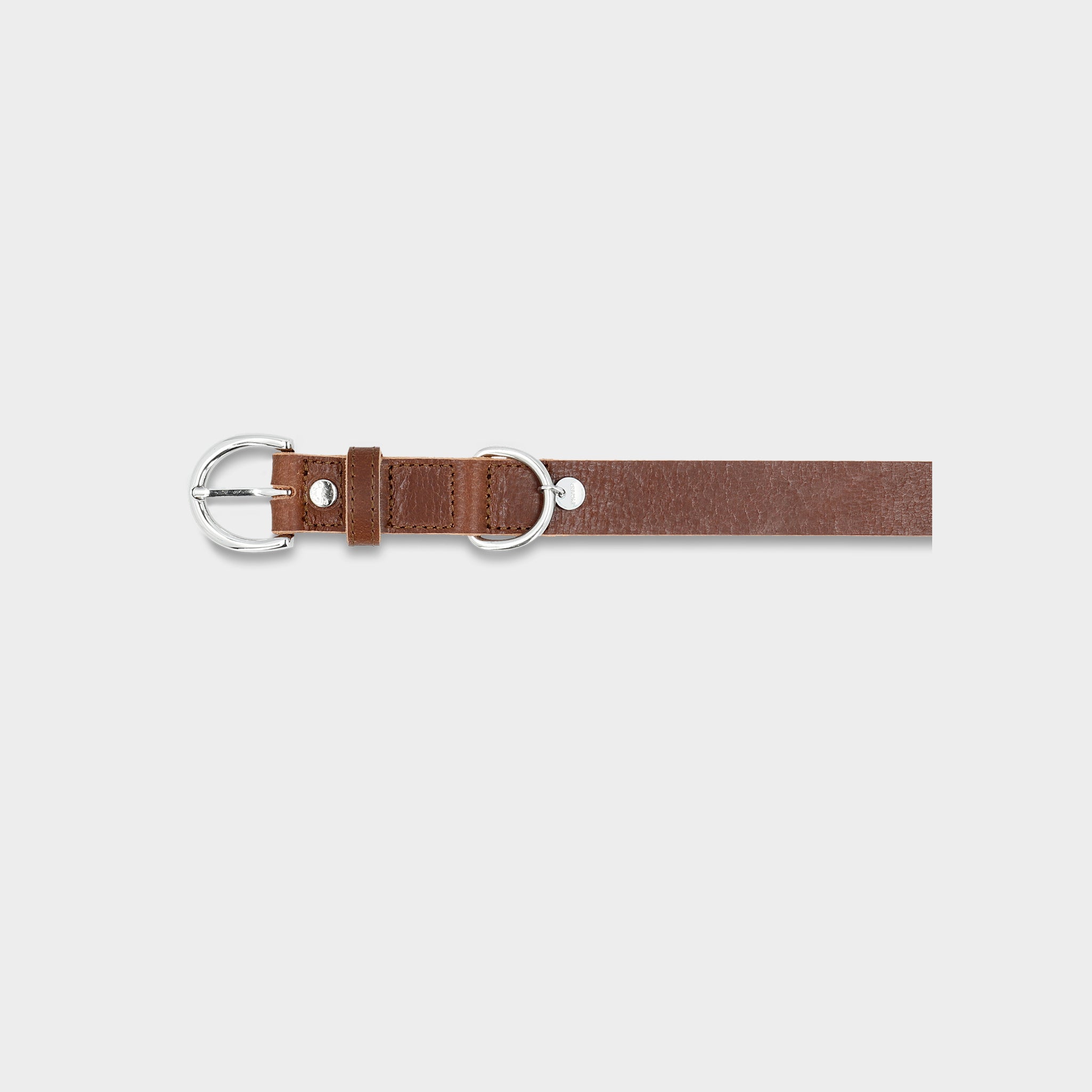 Hundehalsband Dog Collar Strolch Größe M R129