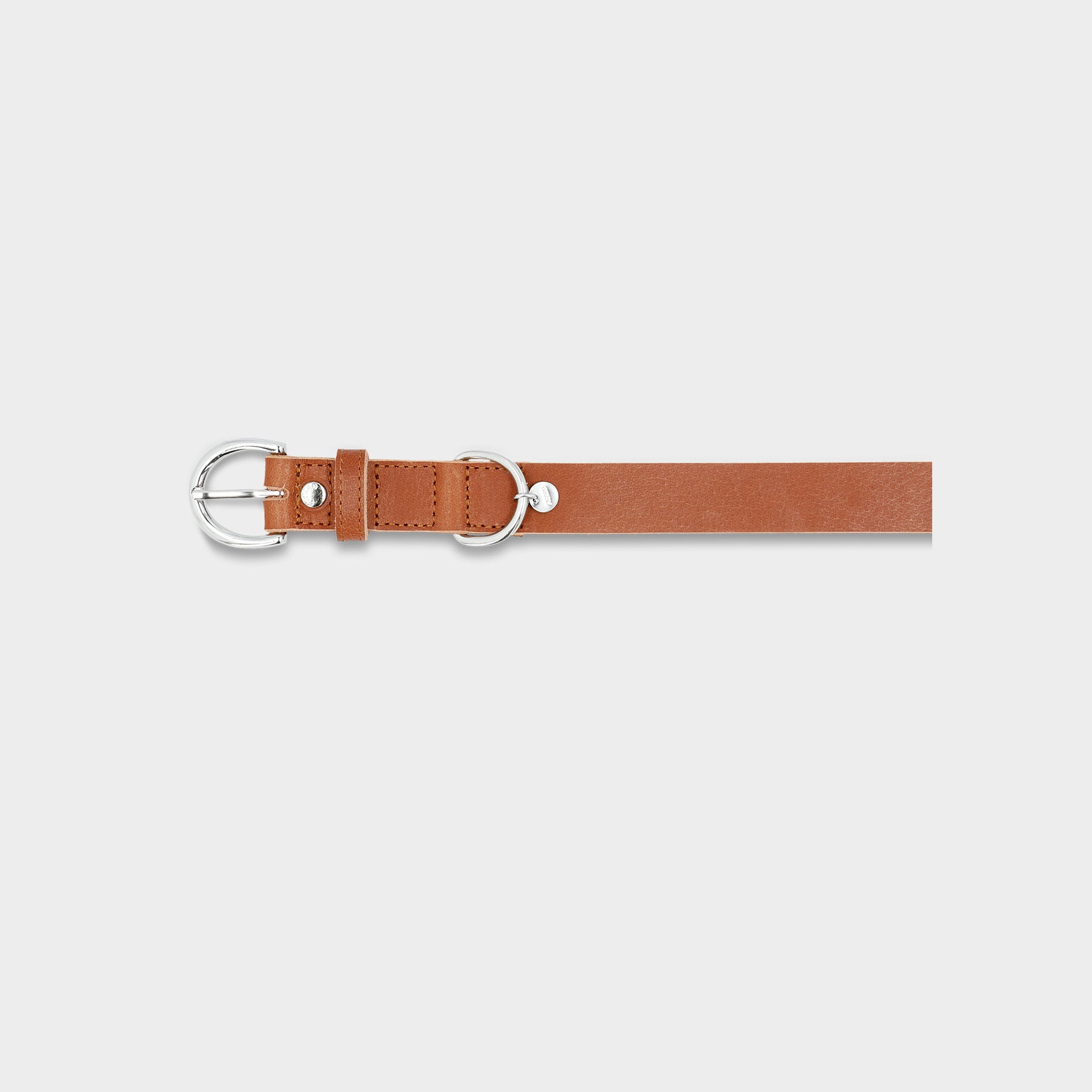 Hundehalsband Dog Collar Strolch Größe M R129